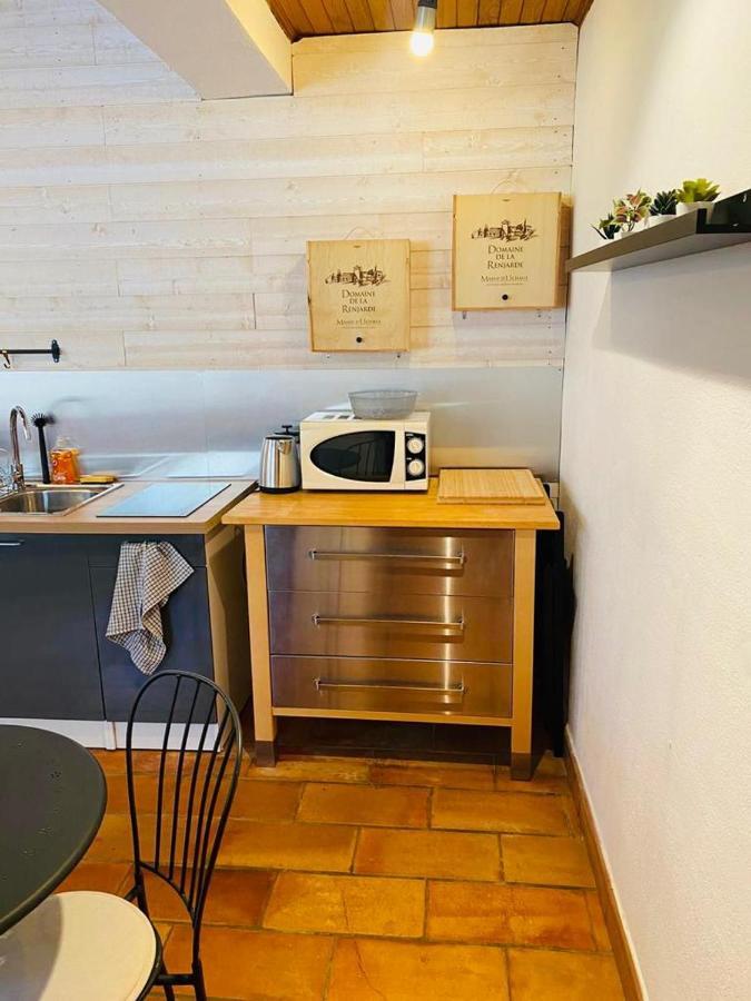 Studio Ile De La Barthelasse A Deux Pas Du Centre Awinion Zewnętrze zdjęcie