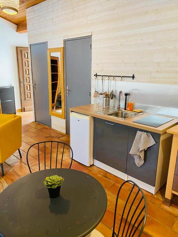 Studio Ile De La Barthelasse A Deux Pas Du Centre Awinion Zewnętrze zdjęcie